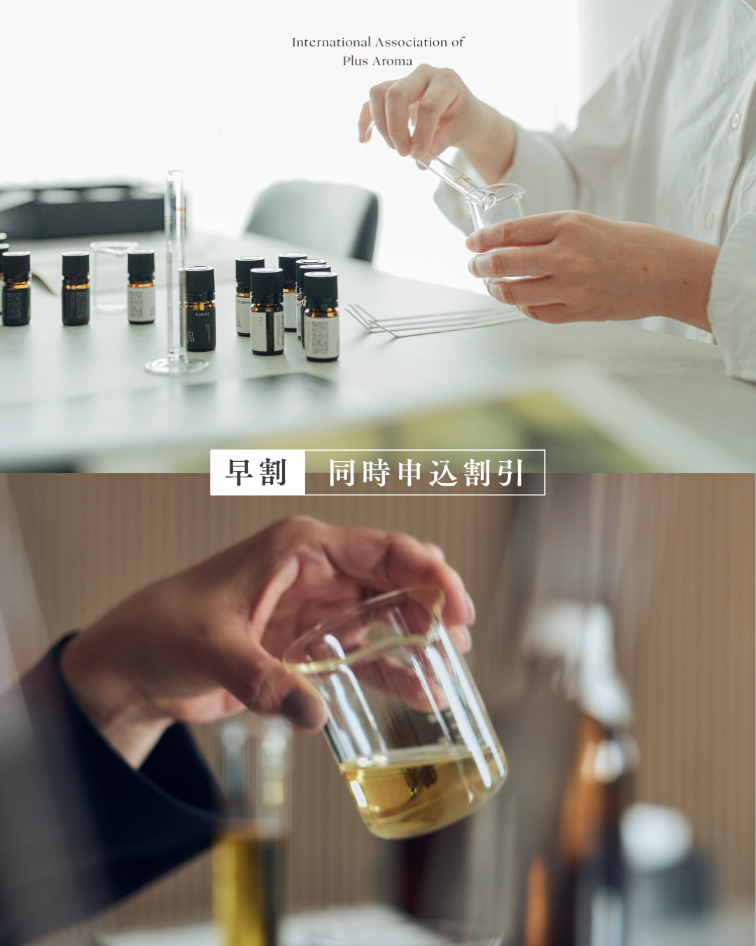 早割＆同時申込割引キャンペーンのお知らせ